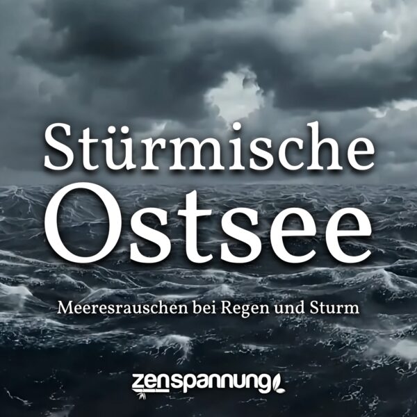 Stürmische Ostsee: 6 Stunden Meeresrauschen bei Sturm (MP3)