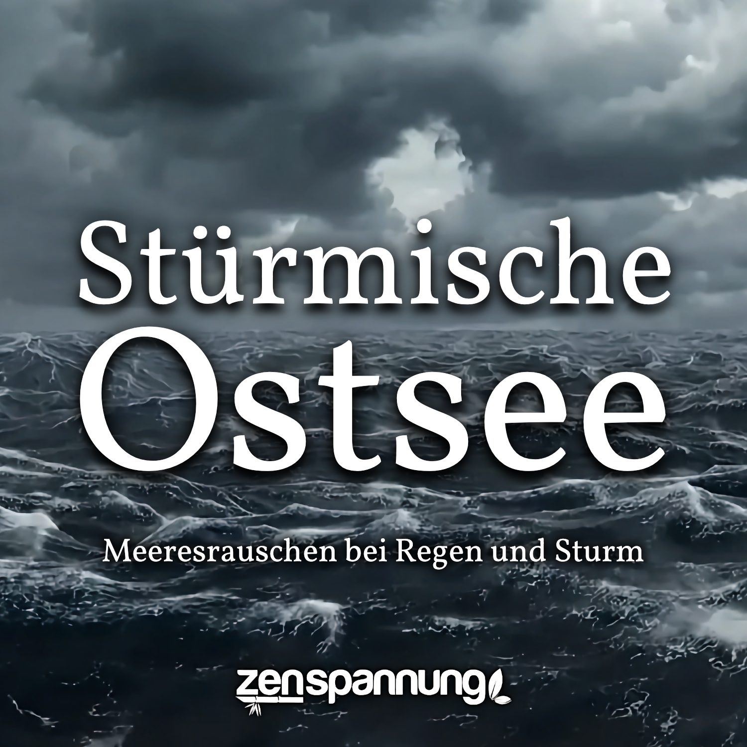 Stürmische Ostsee: 6 Stunden Meeresrauschen bei Sturm (MP3)