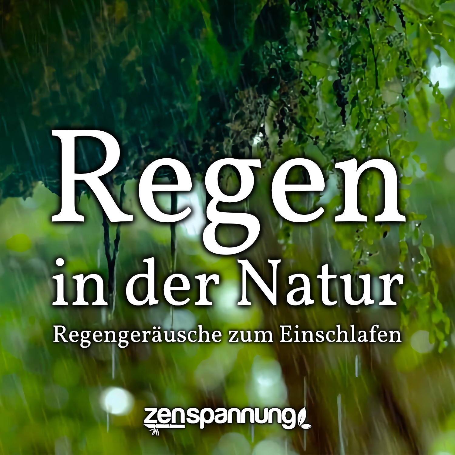 Regen in der Natur: 6 Stunden Regengeräusche (MP3)
