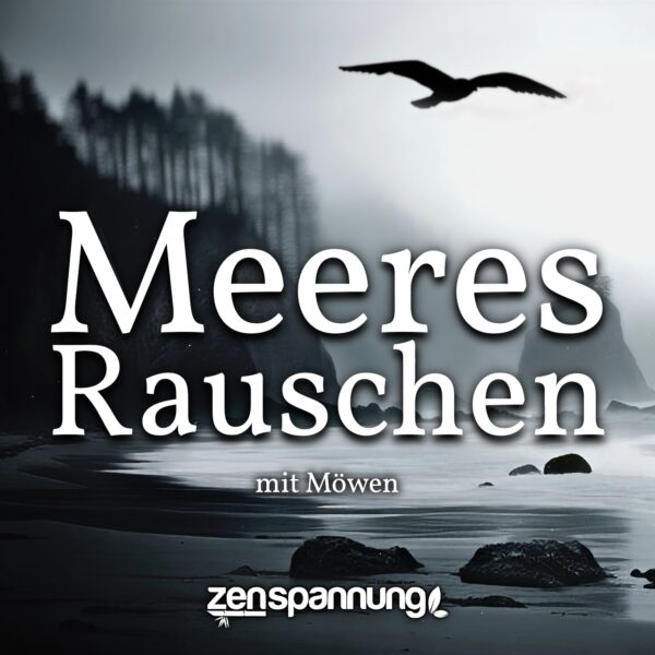 6 Stunden Meeresrauschen mit Möwen (MP3)