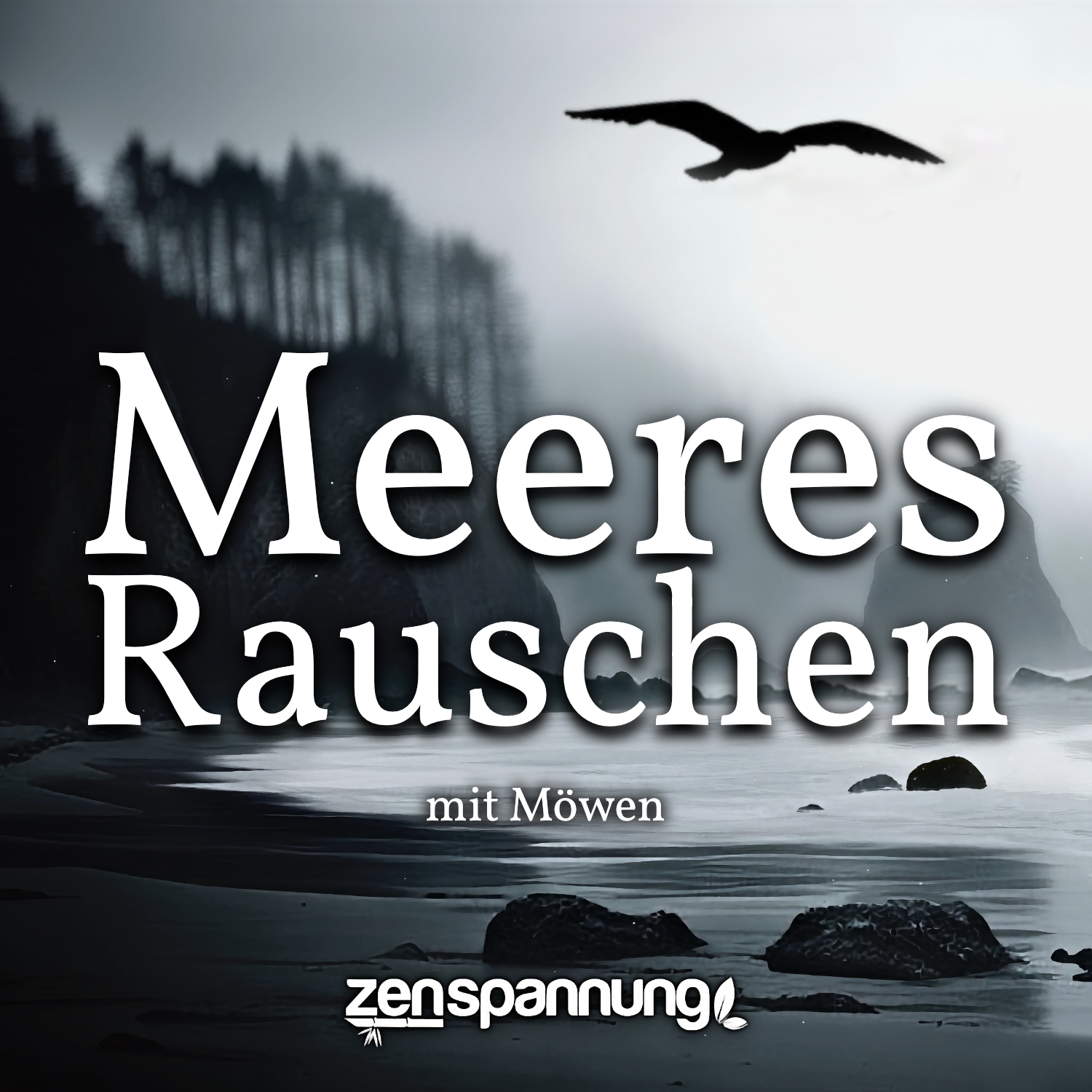 6 Stunden Meeresrauschen mit Möwen (MP3)