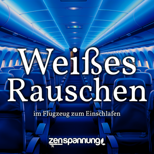 Weißes Rauschen im Flugzeug (MP3)