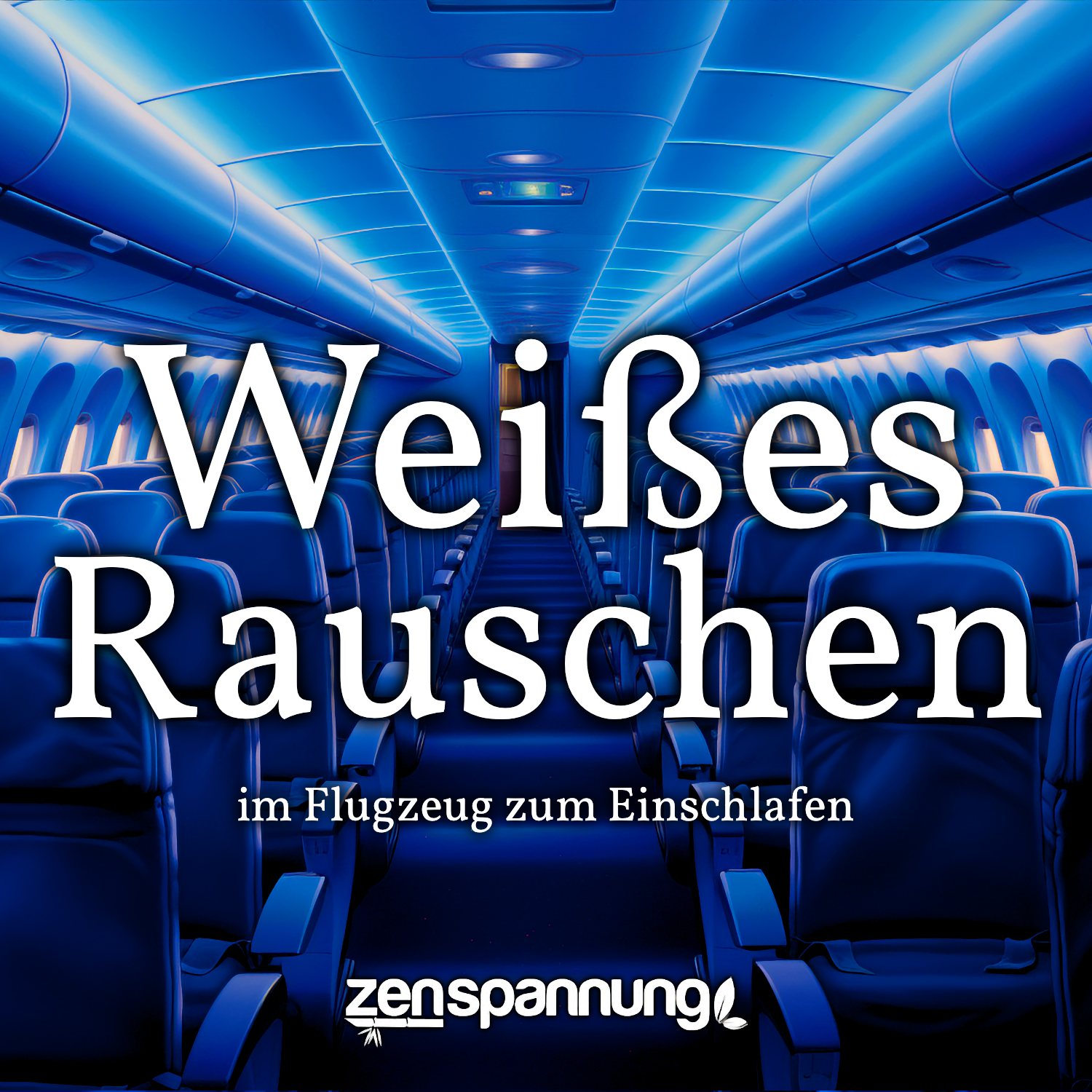 Weißes Rauschen im Flugzeug (MP3)